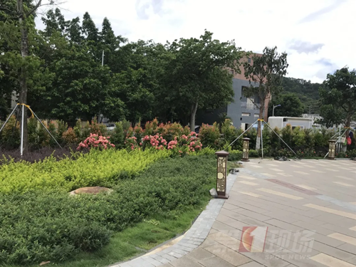 深圳又有“網(wǎng)紅”公園開放 景美還免費