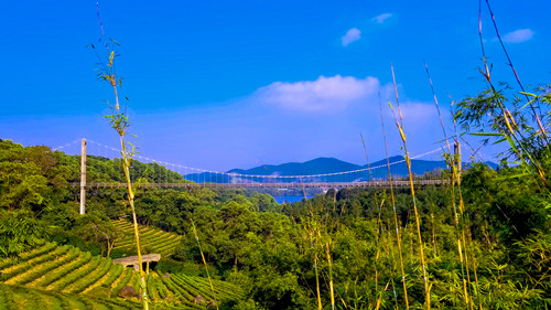 深圳東部華僑城茶溪谷游玩攻略