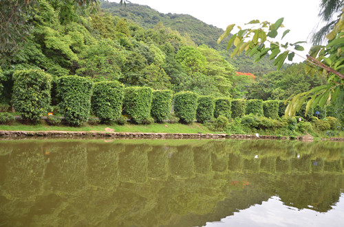 深圳仙湖植物園在哪 深圳仙湖植物園門票價(jià)格