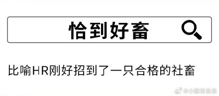 社畜是什么梗什么意思 形容社畜的成語表情包