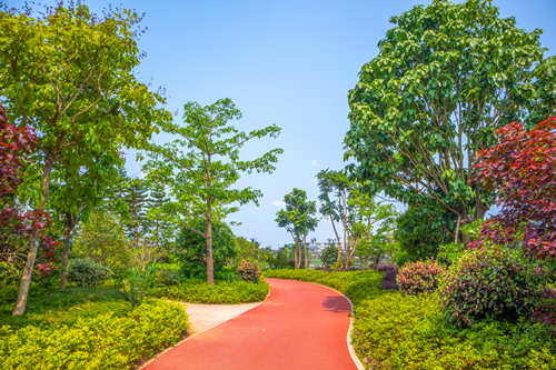 深圳寶安人才林公園即將開放(附地址+交通+門票)