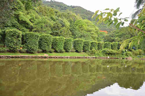 深圳仙湖植物園門票多少錢