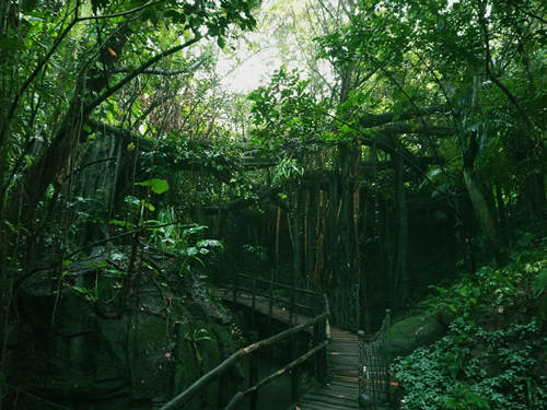 深圳秋天適合去哪里玩 深圳秋天好玩的景點