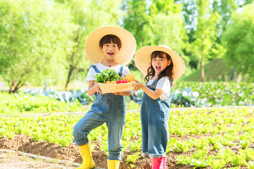 深圳有哪些農家樂 深圳農家樂推薦