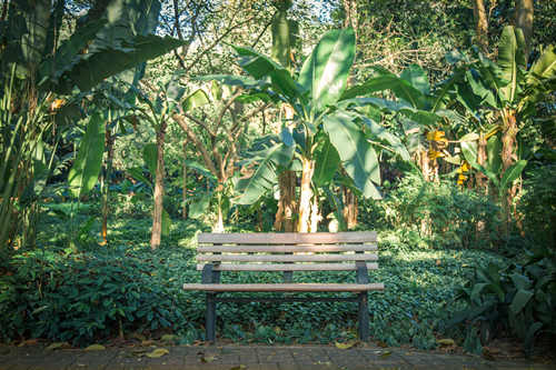 蓮花山公園幾點關門 蓮花山公園開放時間