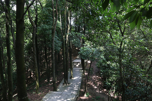 深圳羊臺(tái)山森林公園門票及其游玩攻略