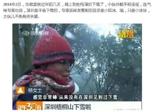 深圳寒冷黃色預警生效中 梧桐山又要下雪?