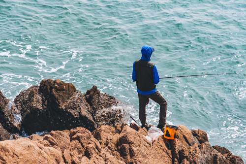 深圳哪里適合釣魚 深圳免費釣魚的地方大全