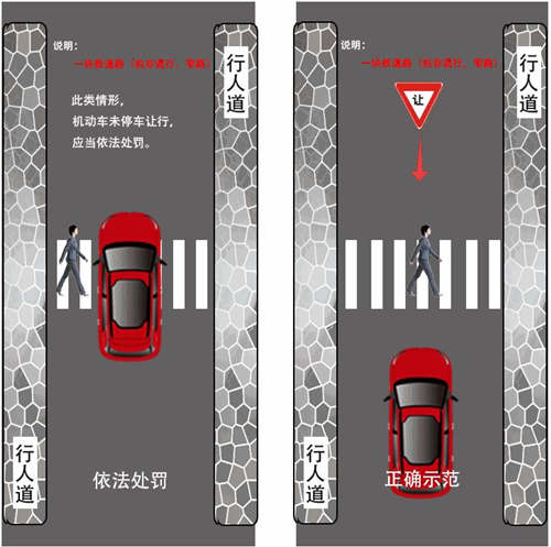 深圳嚴查機動車不禮讓斑馬線 如何正確禮讓行人