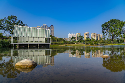 2020香蜜公園游玩攻略