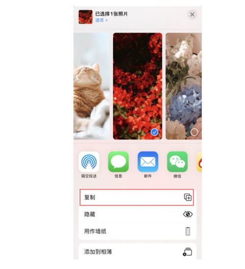 蘋果iOS14如何在保留原圖的情況下編輯圖片