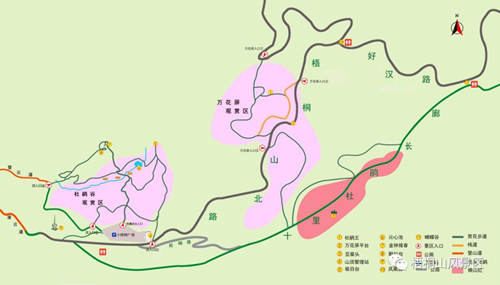 來梧桐山拍毛棉杜鵑瓜分10萬元現金