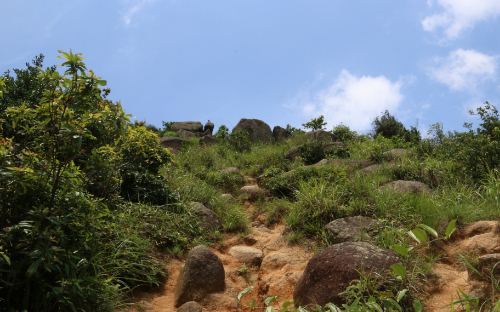 2019深圳羊臺山怎么樣 好玩嗎