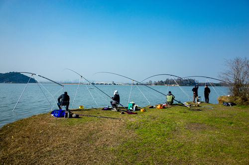 深圳免費(fèi)釣魚(yú)的地方有哪些