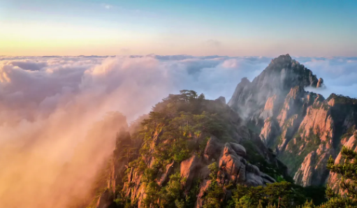 深圳這些東西全都免費(fèi) 景點(diǎn)住宿地鐵體檢健身統(tǒng)統(tǒng)免費(fèi)