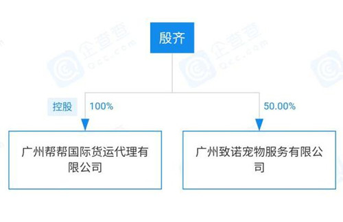 金毛siri事件始末 金毛siri最新后續(xù) 廣州幫幫托運(yùn)資料