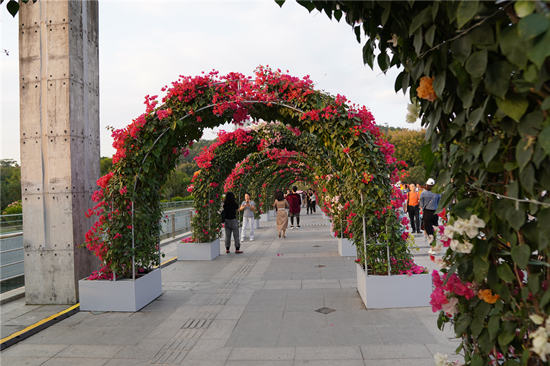 深圳有哪些好玩又不用花錢買門票的免費公園