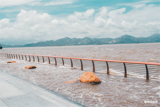 深圳哪里可以看海 深圳看海去哪里比較好