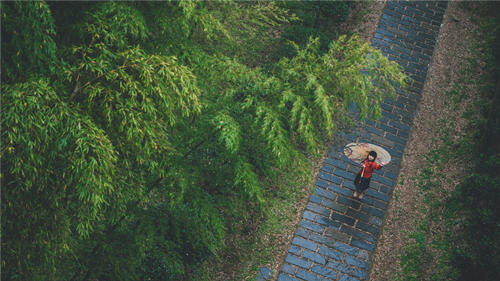 深圳未來一周仍有局部強降雨 深圳未來十天天氣預(yù)報