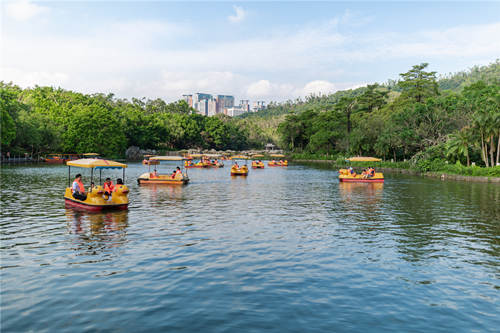 深圳福田區(qū)架山公園趣味植物迷你花園建成開放