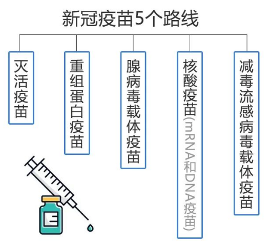 老年人優(yōu)先選擇打哪種新冠疫苗比較好