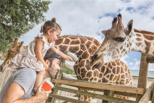 深圳野生動物園活動8月27日起有序恢復(fù)開放