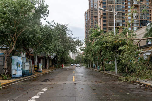 深圳最強(qiáng)冷空氣來襲 深圳一周天氣預(yù)報(bào)