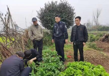 深圳人注意 種這種“菜”吃可能要坐牢