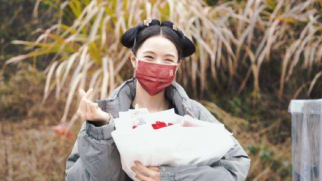 風(fēng)雨濃胭脂亂劇情介紹 主演是誰(shuí)