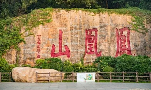 有直達的地鐵到深圳鳳凰山嗎 鳳凰山有公交車上去嗎