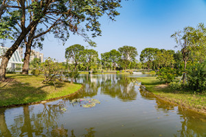 深圳香蜜公園中秋節(jié)開放嗎 香蜜公園可以停車嗎