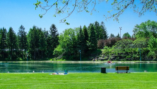 深圳羅湖區(qū)、福田區(qū)各類公園暫停游園