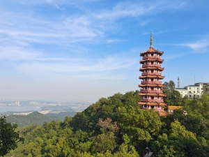 深圳大雁山森林公園有什么好玩的