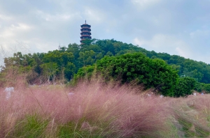 深圳紅花山公園開放時間(地址+交通指南)