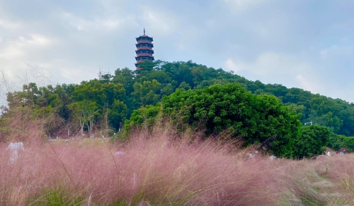 深圳紅花山公園開放時(shí)間(地址+交通指南)