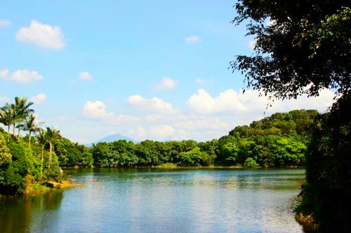 深圳平湖生態(tài)園好玩嗎 平湖生態(tài)園怎么去