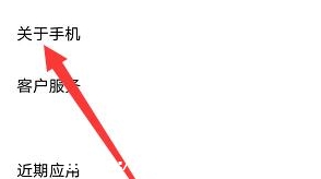 vivo查詢手機(jī)激活時(shí)間的方法