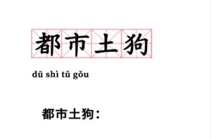 都市土狗是什么意思網(wǎng)絡(luò)語