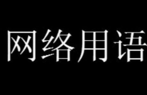 這個是另外的價(jià)錢梗是什么意思