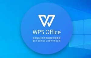 WPS怎么添加無(wú)文字下劃線 WPS添加下劃線的兩種方法