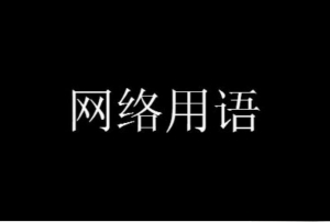 誰(shuí)來(lái)殉我是什么意思 誰(shuí)來(lái)殉我梗含義介紹