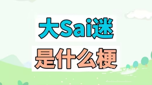 大SAI迷梗是什么意思