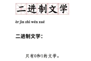 網(wǎng)絡(luò)用語二進(jìn)制文學(xué)是什么梗