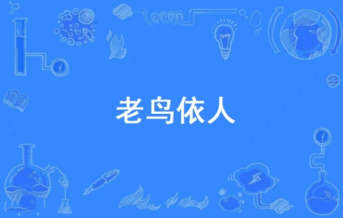 網(wǎng)絡(luò)用語(yǔ)老鳥依人是什么梗