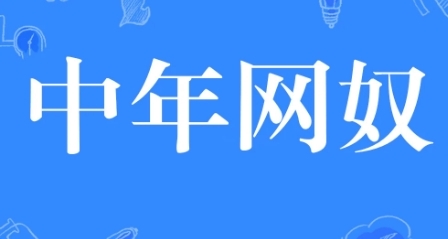 網(wǎng)絡(luò)用語中年網(wǎng)奴是什么梗