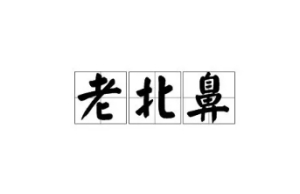 網(wǎng)絡(luò)用語(yǔ)老北鼻是什么梗