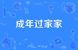 網絡用語成年過家家是什么梗