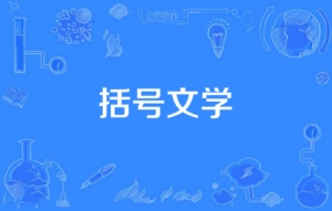 網絡用語括號文學是什么梗