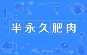 網(wǎng)絡用語半永久肥肉是什么梗