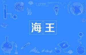 網(wǎng)絡(luò)用語(yǔ)海王是什么梗